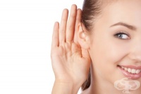 ���� 40-������� ������� �������� �������� �� ���������