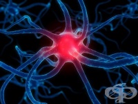 ������� �� �� �� ���������� �������� �� ���������