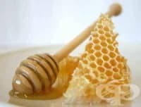 ����� �� ������������� ��������� �� � ������ �������