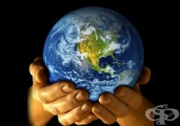 ����� �� ���������, �� ����� ��� ������� �� �����, � ����� ��-����� ��������� �� �������