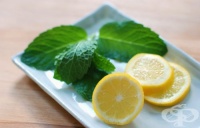 �������� ����������� �� ��������� � ����, ����� � �����