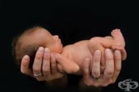 �������� �������������� ������ ��������, ������ ������ ���������