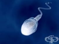 ���������������� ����� �� ���� ������� �����