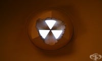 Радиоактивни ли са бананите? Експерт изяснява често срещаните недоразумения