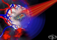 �������������� �� ������ ����, ������� ����������� �����������