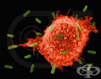 �������� ������� ��������� ��������� ������ ������� ������ ����� ���