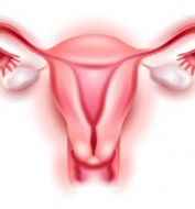 ��� ����� ��� ����������� ������� �� �� ����� �������� �������