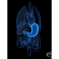 ���� ������ ��������� ��-����� �� ��� �� �������