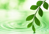 �������� ������, �� ���������� ����� �� ������� �� ����� ��