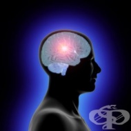 ������������ ����� � ������� �������� �� ������������� ��