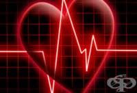 ����������� ���������� ���� �� ���� ������ �� ��������