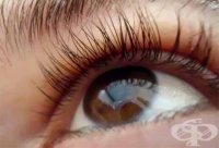 �������� ������ - �������� ����������� �� ��������