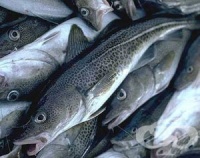 ����� �����: �����, ������ � �������