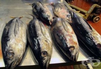 ������ � ����� ����� � �������� �� ������ ����������