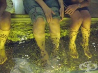 ����������� ������ �� ��������� ���� ��� ������ � ������ ������