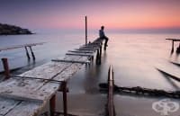 ������������� ���� �� ������ �������� � ���������