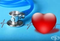 ������� � �������� ����� �� ����� ���� �� ���� �� �������������� �����������