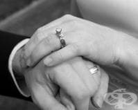 ����������� �� ���� ��� ��������� �� �����