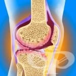 �������� - ������, �� ����� �� �� �����, �� �� ������