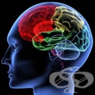 ������������ ������ �� � ������������?