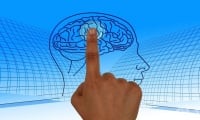 Сканирането на мозъка е в състояние да покаже политическите пристрастия на човек