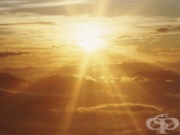 �������� �������� �������� �������� � �������� ����� �� �������� ����