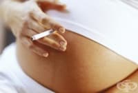 ���� ��������� ������ ��������� ������ �� �����