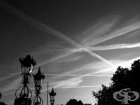 ����. �-� �������: �������������� ������ �� ����� ���������� �� ���������