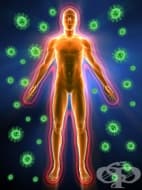 ������� ����� ��������� ��������� �� ���������� �� ������