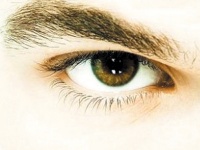 ������ �� �����, ������ � ������ ����� �� �������� � ���������