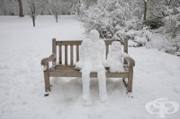 ����������� �� ���� - �������� ����� �� ����������