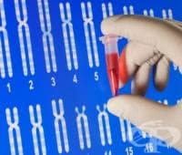 ����� �� ����, ����� ��������� ������ �� ��������?