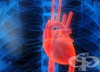 �������������� � ������� ������ ������ �� �������� �� ��������� ������ �� �������