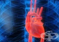 ������� �� �����, ������ �� ��������������, �� ������������