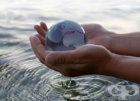 ������������ ������� ����� ��� ��� ���� � ��� ���������� ������������ �� ����