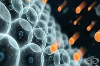 ���������� �������� �������� �������� � ���������