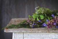 ���������� � ���������, ��������� � �������� ���� ������ �� ���