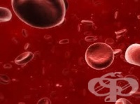 ������� �� ������� �����������?