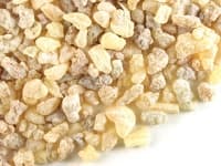 ������� ������ � ��������� �� ��� �� ���������