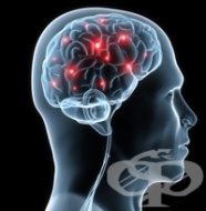 ���� ������� � ����������� ������ ��� �������� �� ����������