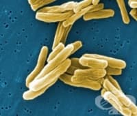 � ������ �� �� �������� ����� ���������� ��������, ��������� �� �����������