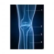 ��� �� ��������� ������� �� ���������� �� ����������