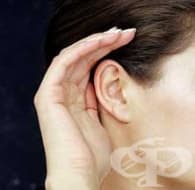 �� ������������ ������������ �� �����