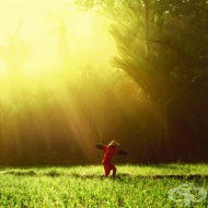 ����������� ������ �� ������� ���� � ������� ��������