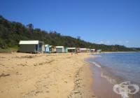 ������� ���� ������ �� ���� ����������� � ������