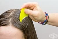 Шампоани против въшки могат да предизвикат поведенчески проблеми при децата