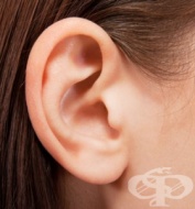 ���� �� ������� �������� ��� �� ������� ��������������?