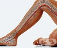 ��������������� �������� � ������� ��������� ���� ���� �� ������� ��������