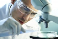 ��������� ����������� �� �������