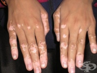 �� ����� ���� ����� �� ������ � ��������